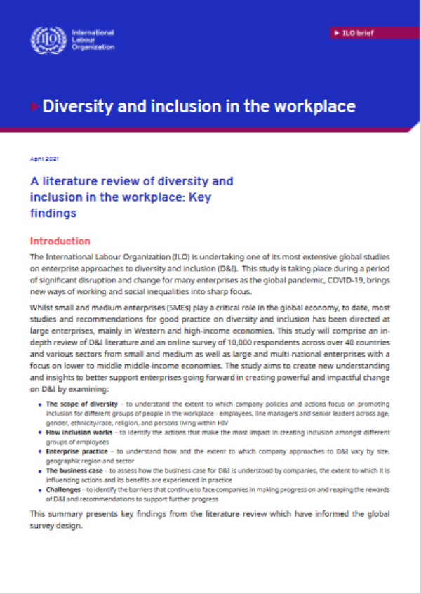 A literature review of diversity and inclusion in the workplace: Key ...