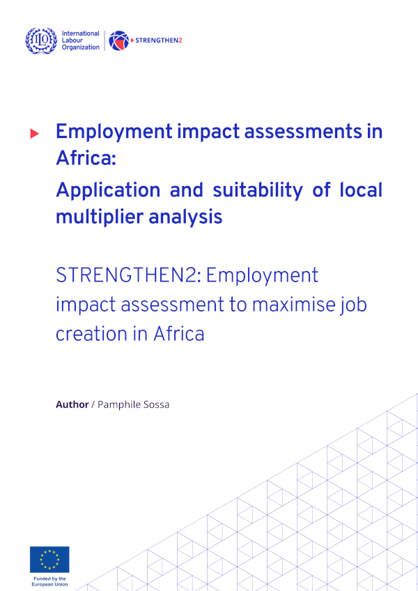 Employment impact assessments in Africa: Application and suitability of ...
