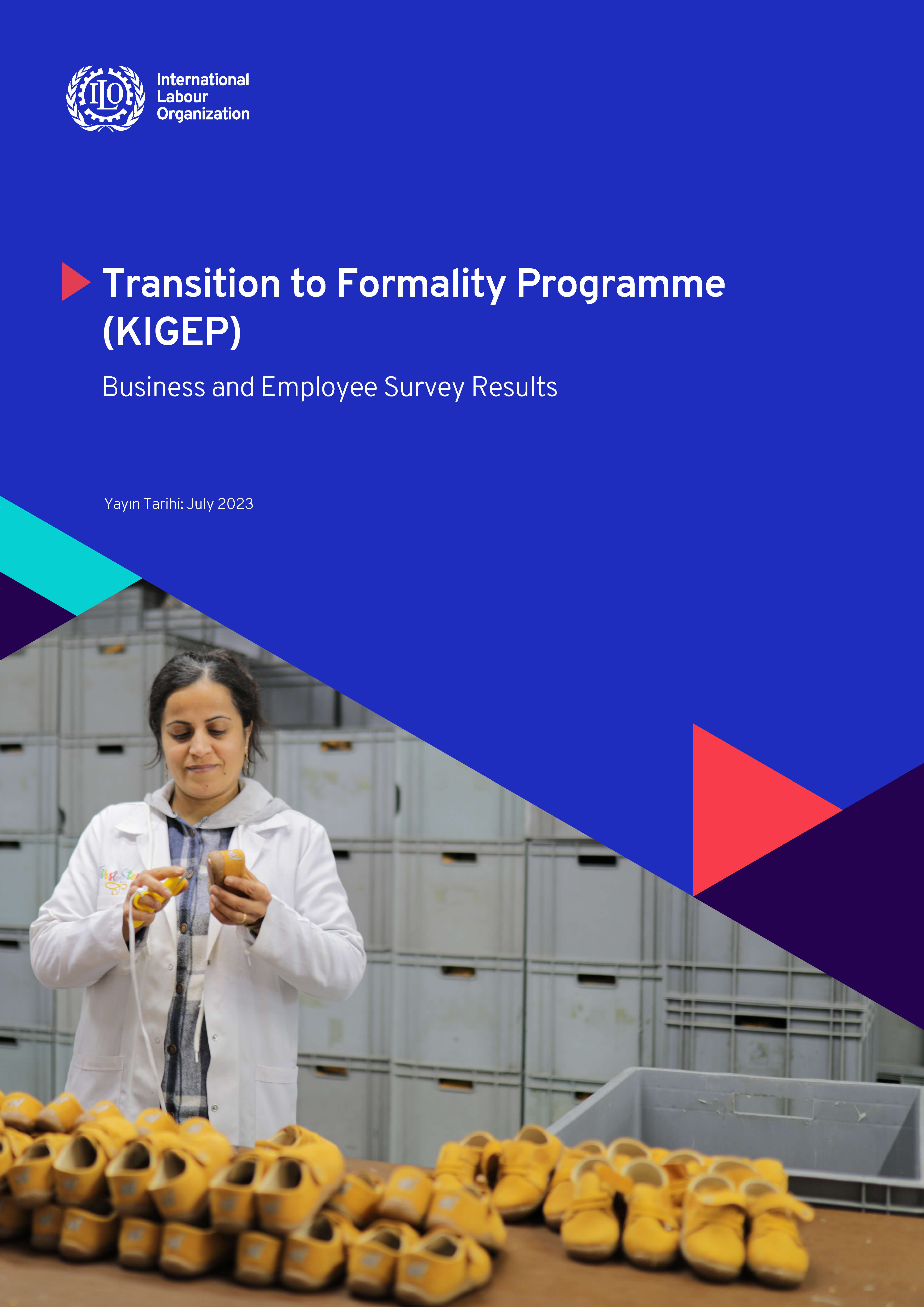 Transition to Formality Programme (KIGEP) Business and Employee Survey ...