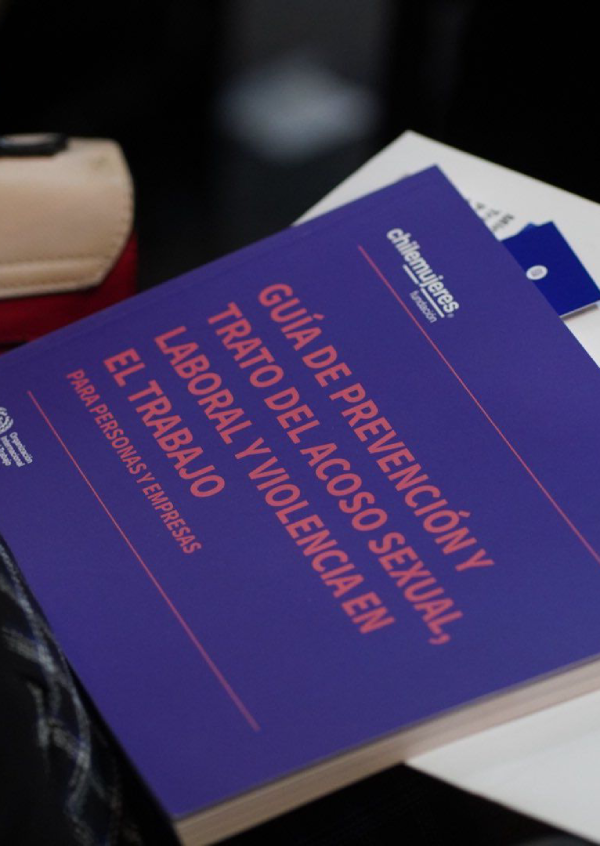 El sector empresarial previene la violencia y el acoso en el trabajo en ...