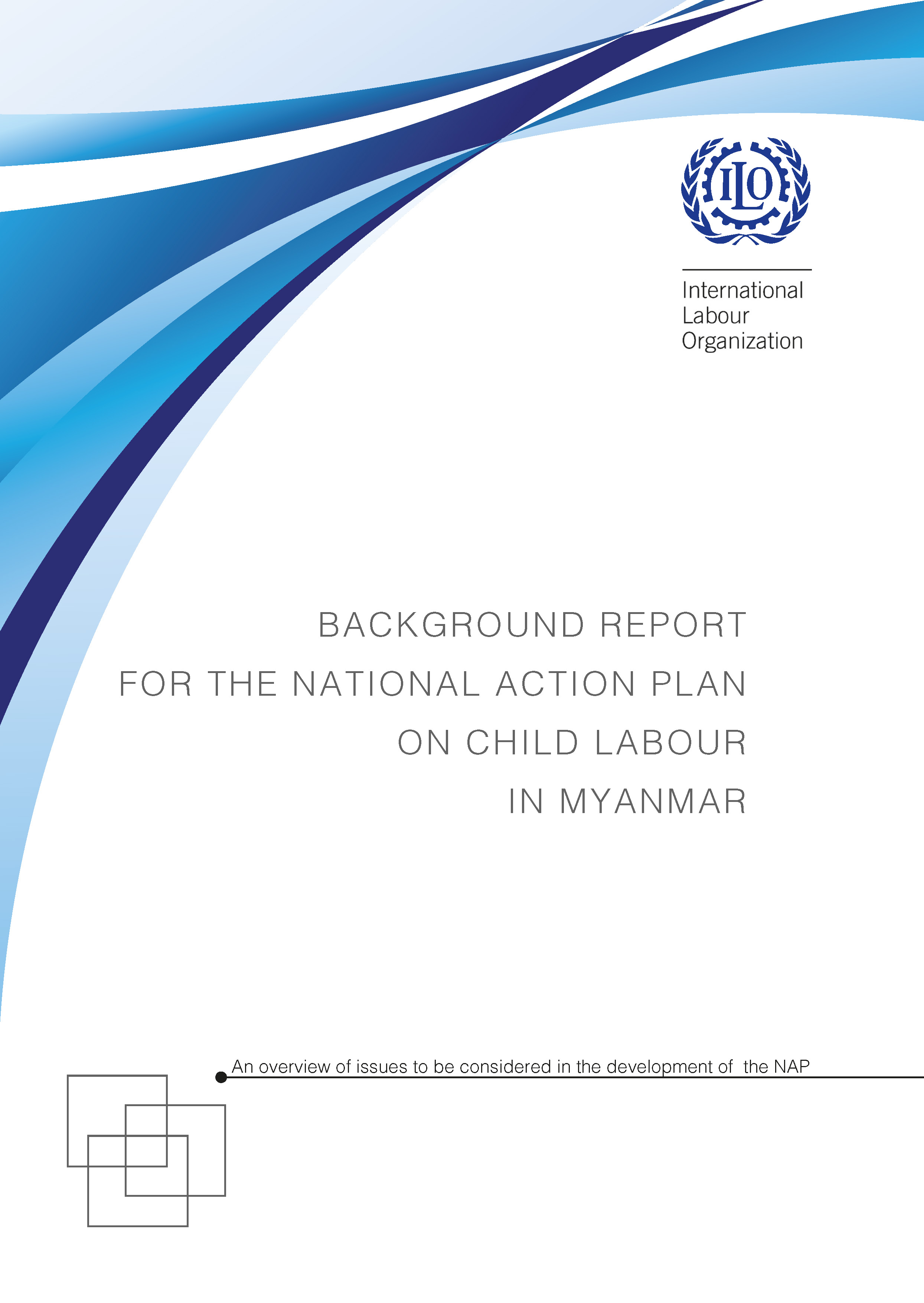 Background Report for the National Action Plan on child labour in ...