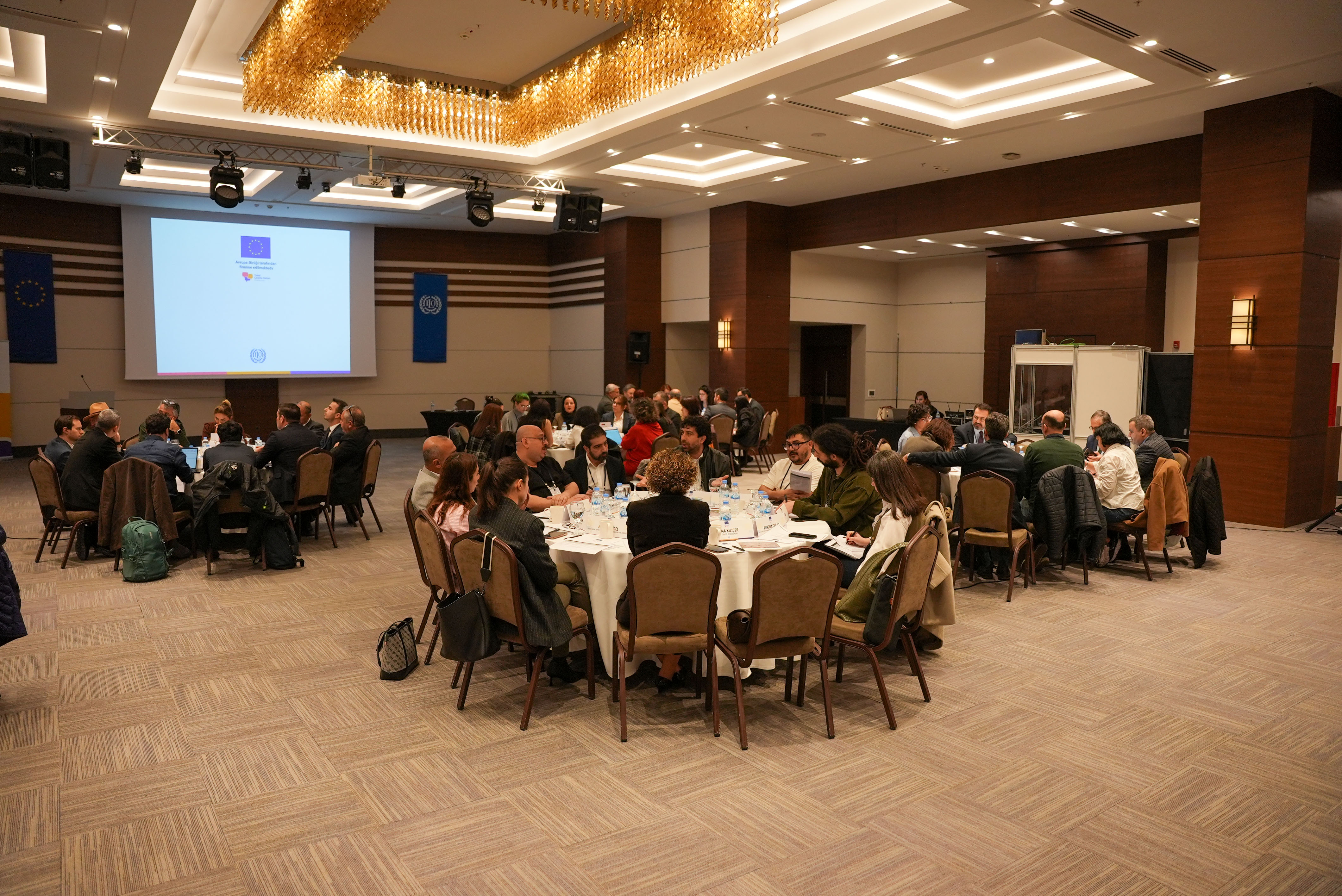 Workshop by the ILO and the EU to strengthen access of Roma Communities ...