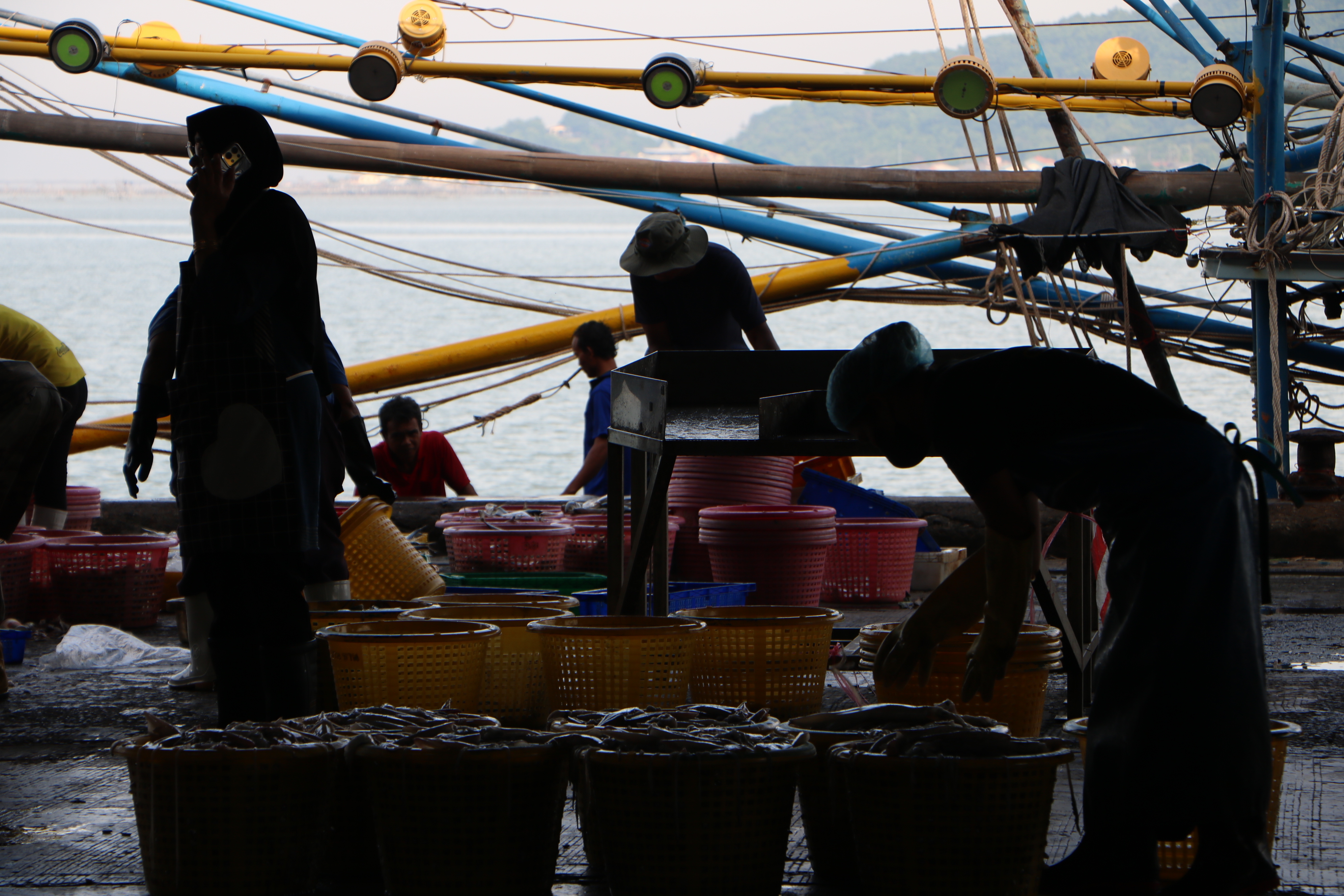 Thailand's Seafood Sector Boosts Migrant Worker Oversight