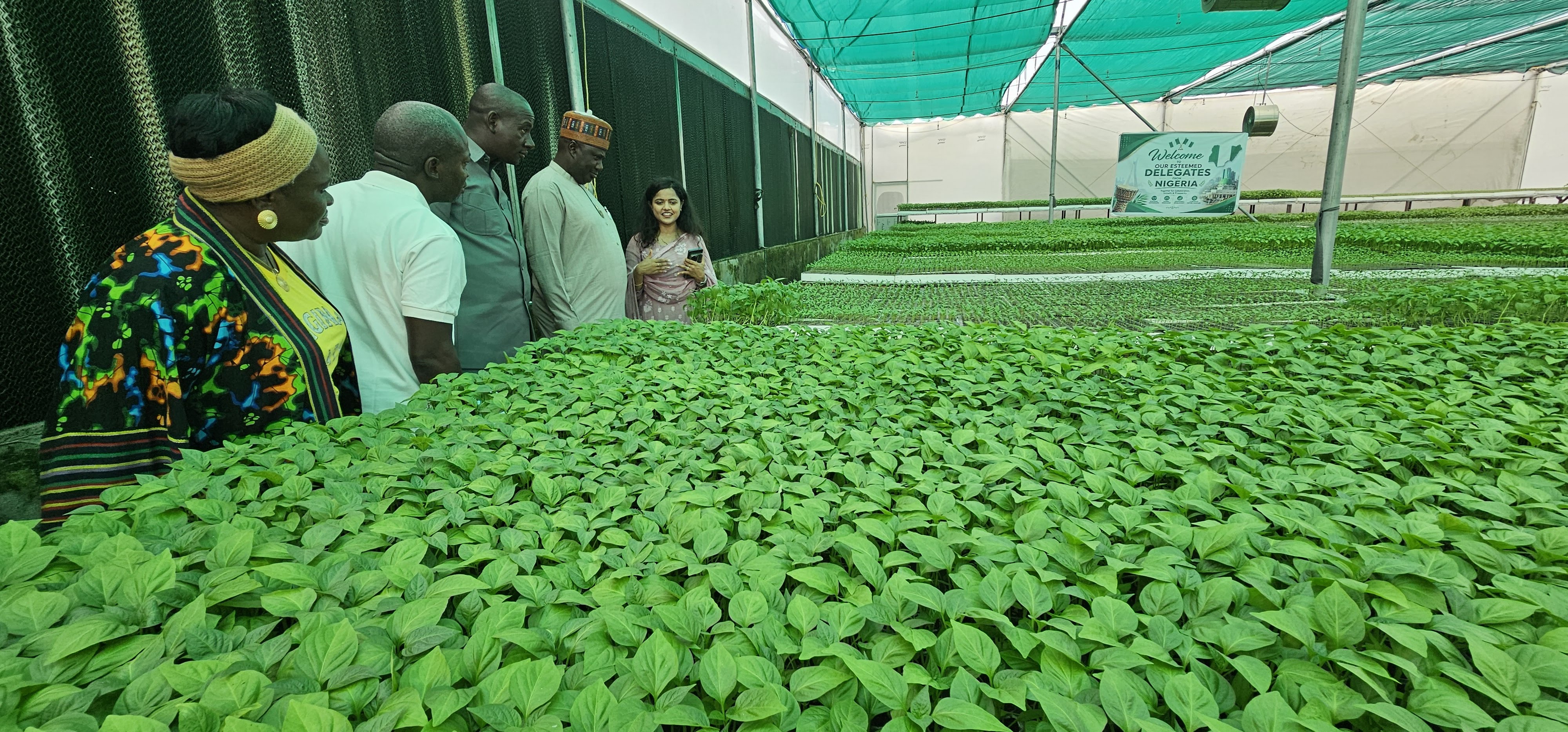 Nigeria advances rural roads, jobs and agricultural markets through RAAMP