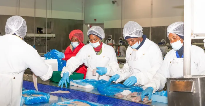 Women wearing uniform cleaning fish