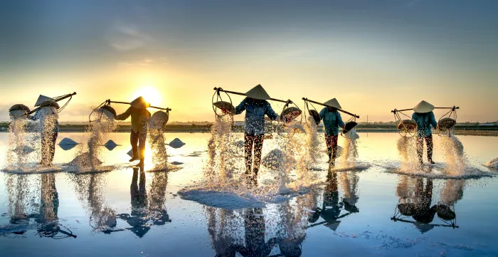 The image shows a group of workers harvesting salt at sunrise in a traditional salt field.
