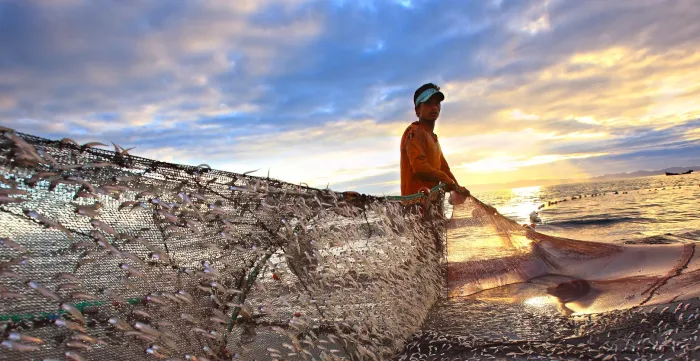 Fishing at Saint Martin Island, Bay of Bengal. 
