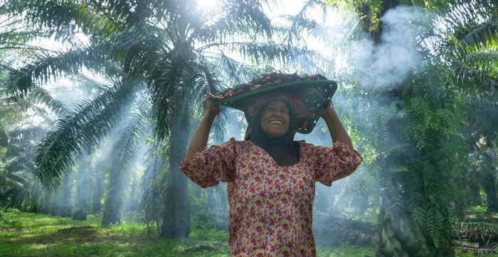 A woman works on an oil palm plantation in Malaysia.