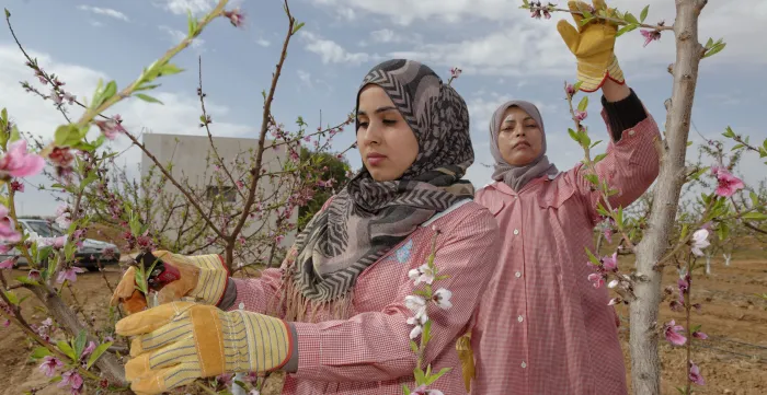 Visit to agricultural farms benefiting from projects supported by the ILO. Tunisia. 2016-02-23