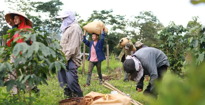 The ILO is supporting efforts of the Lao Social Security Office to expand social security coverage to rural areas of the Lao People’s Democratic Republic