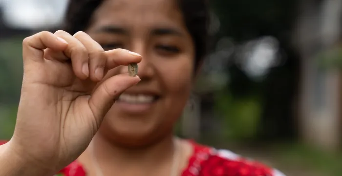 La productrice de café Briseida Venegas Ramos travaillant dans une coopérative à Veracruz, au Mexique