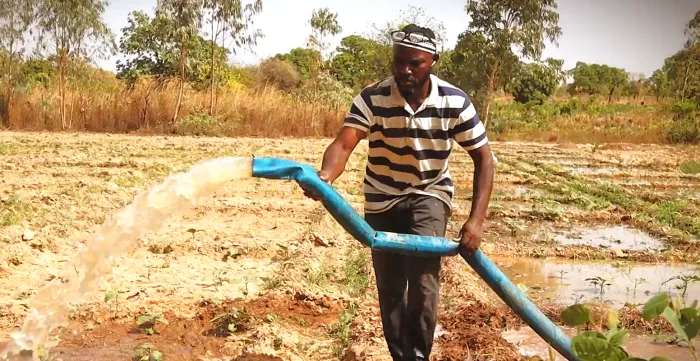 Daouda Camara arrose ses pépinières, une étape essentielle pour assurer la bonne croissance de ses cultures.