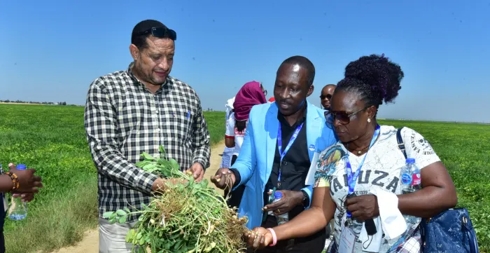 Four participants stand in a field examining freshly uprooted plants during a field visit.