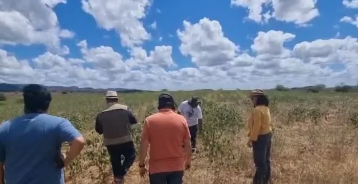Representantes do Brasil, do Peru e da OIT em visita a campo