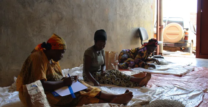 Three women sorting and recording coffee beans at a coffee processing facility.