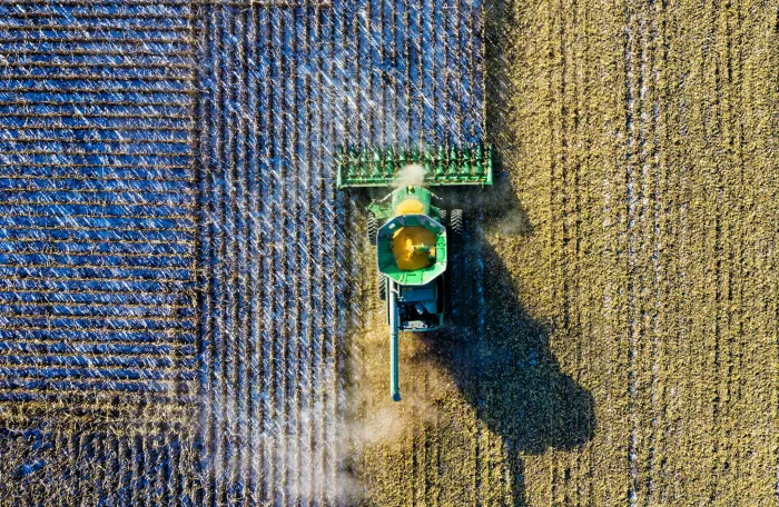 Crops being harvested by machine