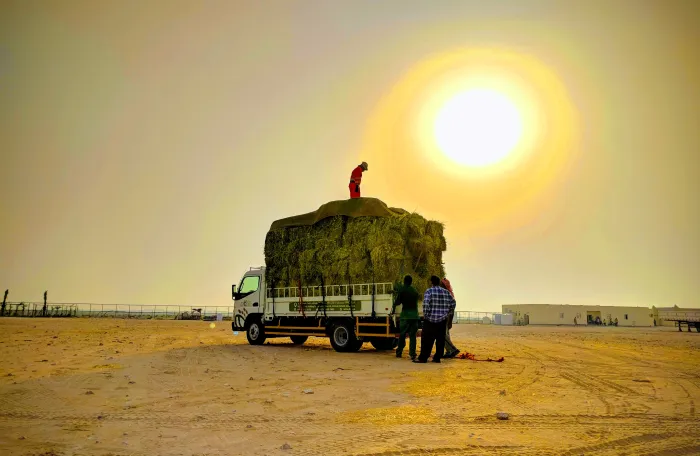 Workers stand next to a truck under the sun