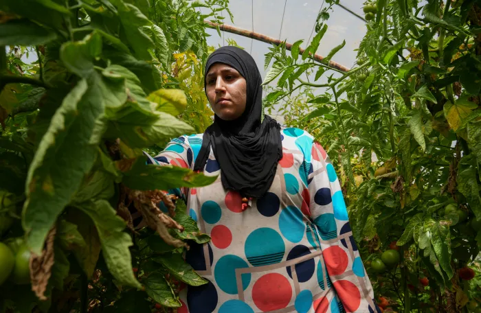 refugee agriculture worker in Lebanon