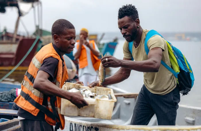 Pescador a entregar peixe no barco