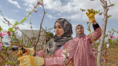 women working in a farm