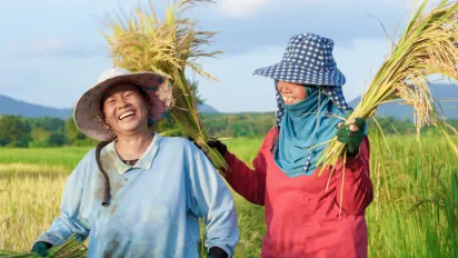 Happy Thai female farmers harvesting rice in countryside of Thailand