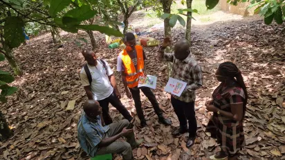 People discuss in a cocoa farm
