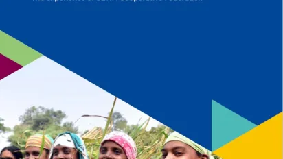 Strengthening women’s cooperatives: The experience of SEWA Cooperative Federation