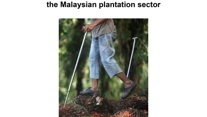 Cover of the review report of the Bangladesh-Malaysia bilateral labour agreement