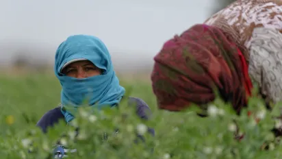 A woman in a blue headscarf works in a green agricultural field, with another worker nearby.