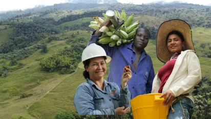  Mujer sonriente utiliza un sombrero de ala ancha y un recipiente amarillo amarrado a la cintura. A su lado, un hombre con camisa manga larga de color azul oscura, carga un racimo de plátano verde sobre su hombro izquierdo; hacia el costado izquierdo, una mujer porta un casco blanco de seguridad y una camisa de jean manga larga, mientras sostiene en su mano derecha un fruto de palma