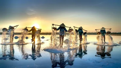 The image shows a group of workers harvesting salt at sunrise in a traditional salt field.