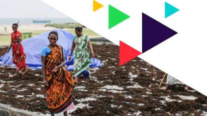 Cover showing women drying chili papers
