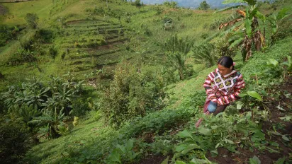 Woman farms the uphill land near Lake Sebu in Philippines