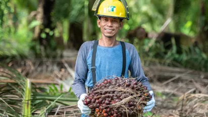 Man carrying the fruits of the palm tree in his arms