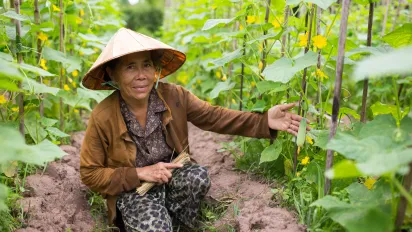 Lao work and life