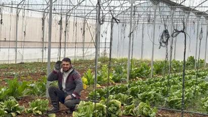 A worker checking his plants in his green house. Akkar, Lebanon- 18 March 2025