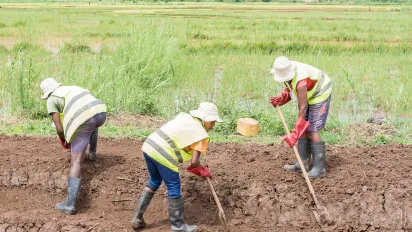 Three workers at an irrigation ditch in Madagascar
