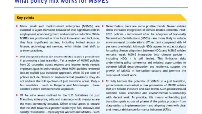 What policy mix works for MSMEs - Brief cover image