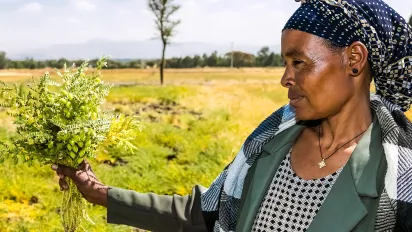 An Ethiopian woman stands in a sunlit rural field holding a freshly gathered bundle of green plants, with open farmland and distant trees stretching across the background.