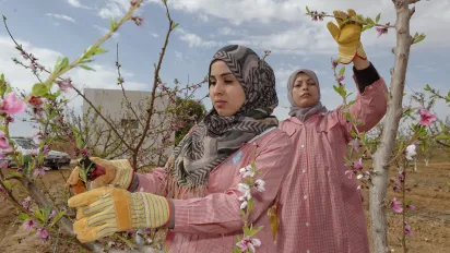 Visit to agricultural farms benefiting from projects supported by the ILO. Tunisia. 2016-02-23