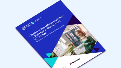 Review of key policies supporting private sector development in Viet Nam