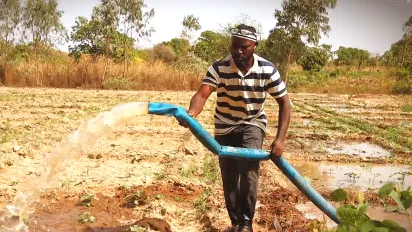 Daouda Camara arrose ses pépinières, une étape essentielle pour assurer la bonne croissance de ses cultures.