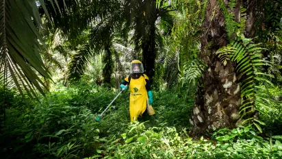 Worker in full PPE gear in a palm tree plantation