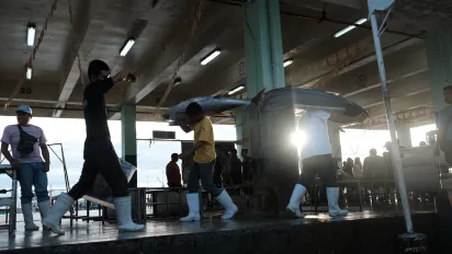 several workers carrying fresh tuna on their shoulders at a port