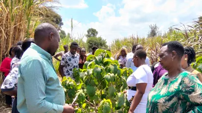 Titus Kariuki of Tiddy Fodder Farm trains participants on fodder production and storage in Narok County. © Tidy Farm