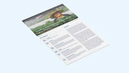 TRIANGLE Partnerships Brief
