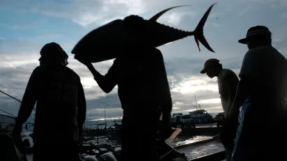photo-fishers-unload-tuna-catch