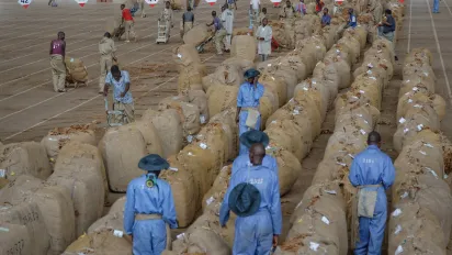Workers in a tobacco warehouse in Malawi
