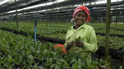 Orchid farmer in Thailand.