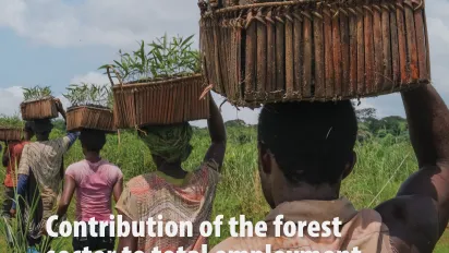 Contribution of the forest sector to total employment in national economies - Estimating the number of people employed in the forest sector